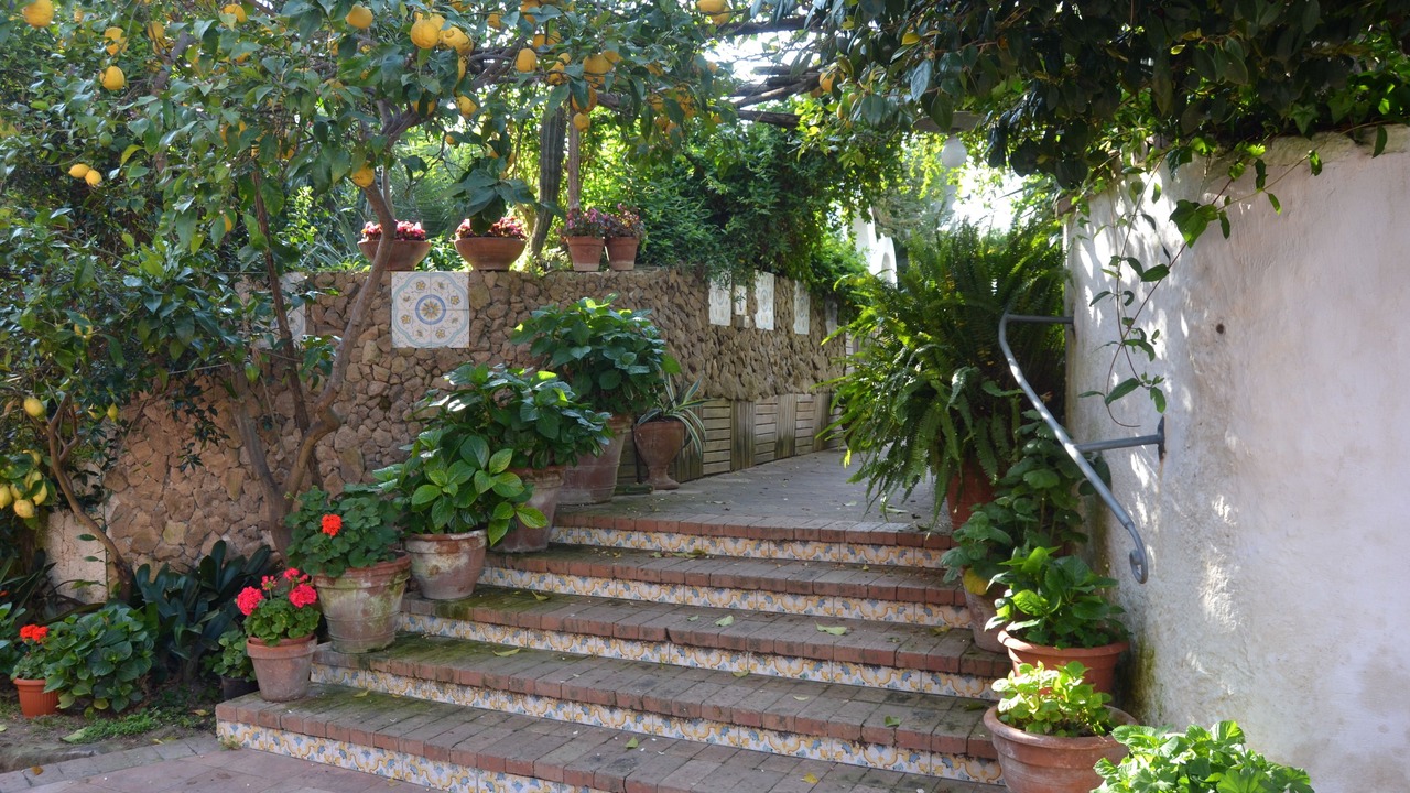 Photo of Outdoor in Procida