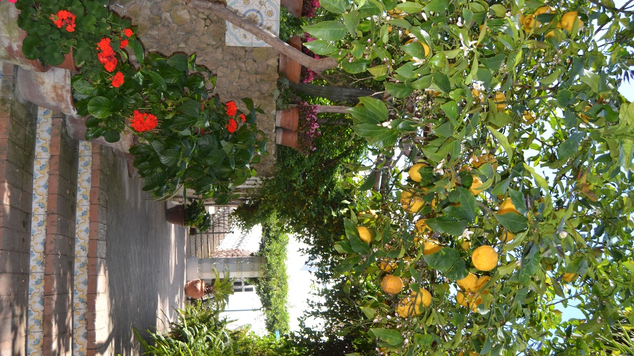 Photo of Outdoor in Procida