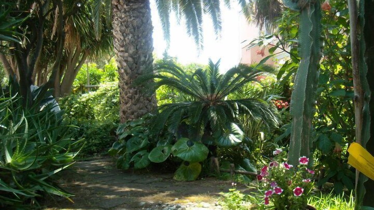 Photo of Outdoor in Procida