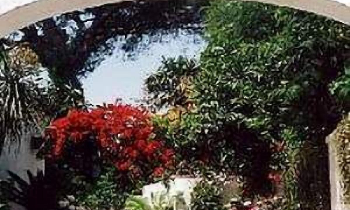 Photo of Outdoor in Procida