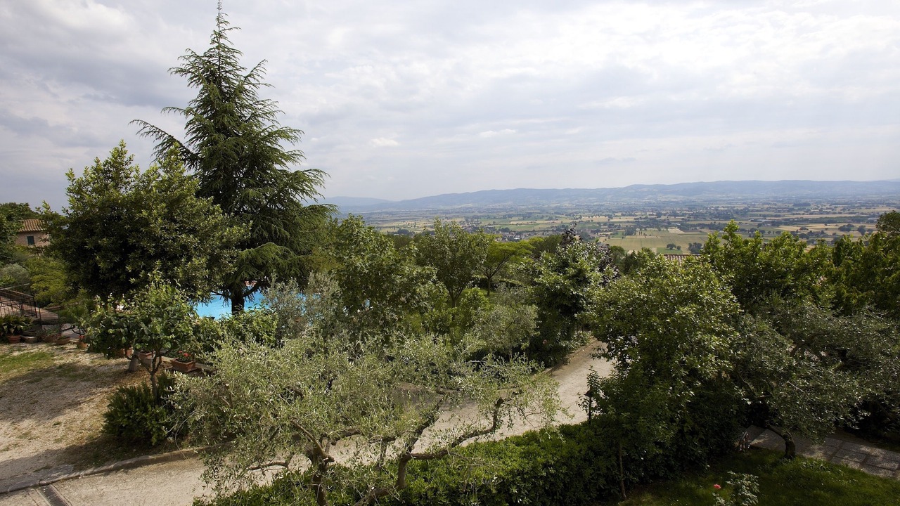 Photo of Others in Assisi
