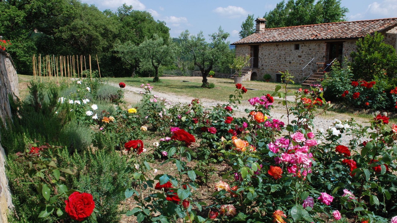 Photo of Outdoor in Sansepolcro
