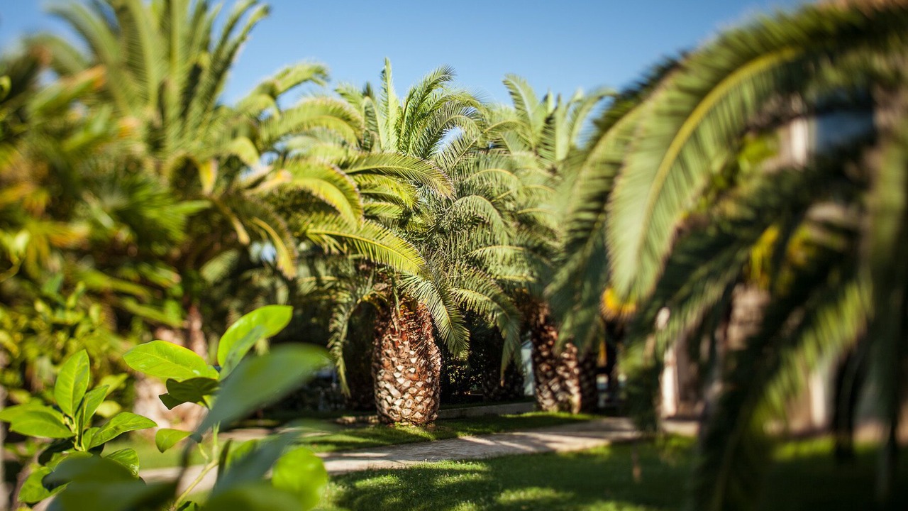Photo of Outdoor in Senigallia