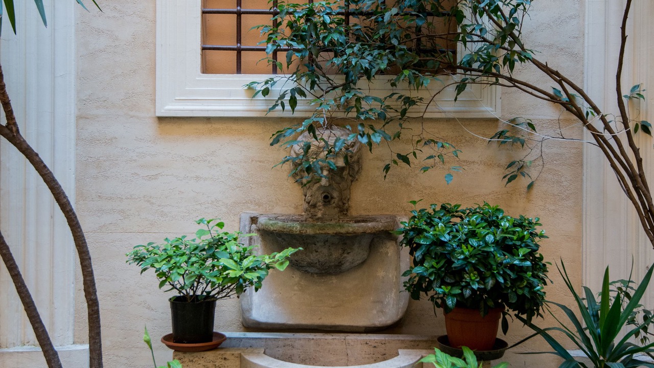 Photo of Outdoor in Rione VIII Sant'Eustachio