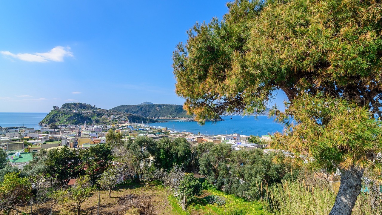 Photo of Others in Procida