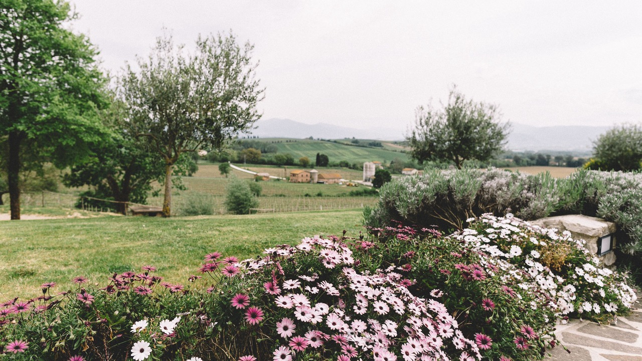 Photo of Outdoor in Fornole