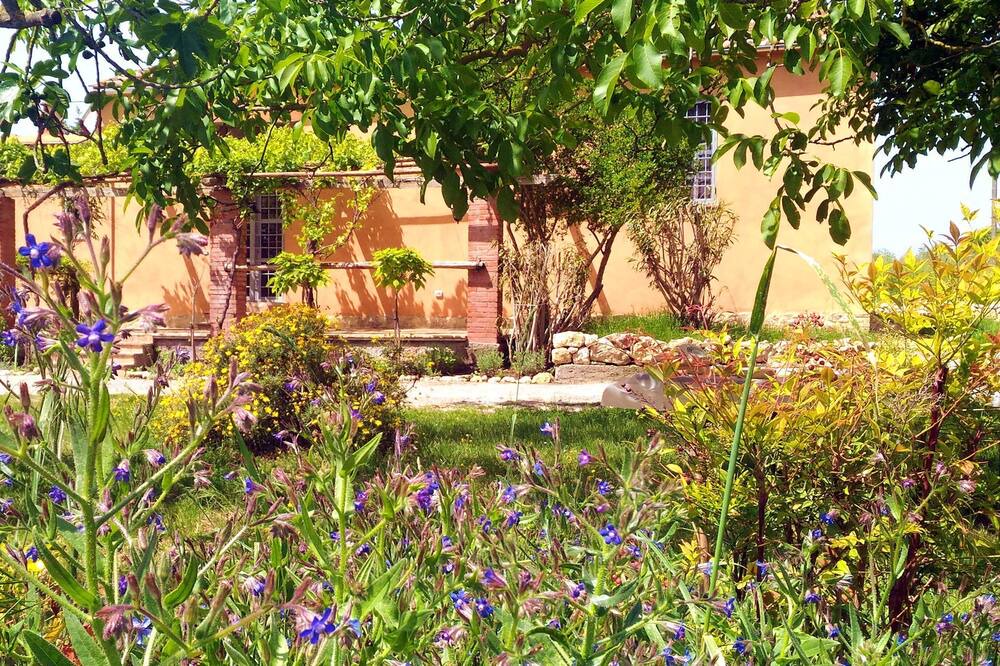 Photo of Outdoor in Amelia