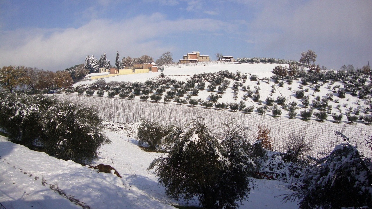 Photo of Others in Ramazzano