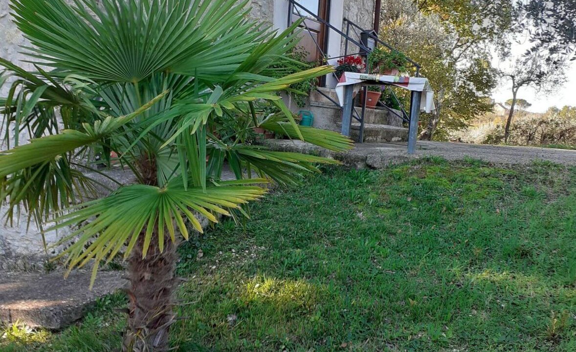 Photo of Outdoor in Vacone