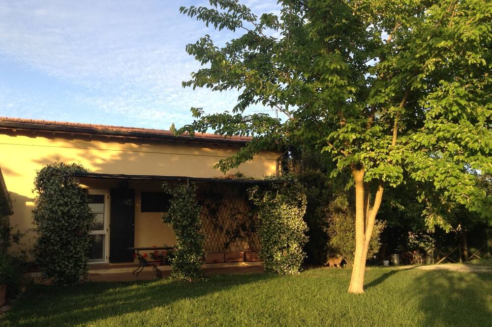 Photo of Outdoor in Manciano
