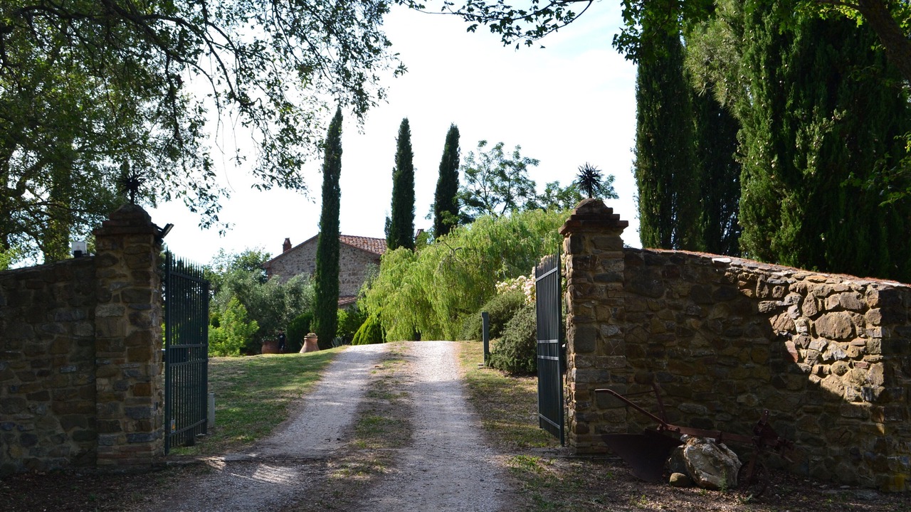 Photo of Outdoor in Scansano