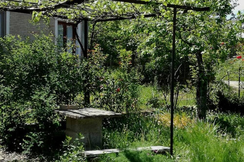 Photo of Outdoor in Decollatura