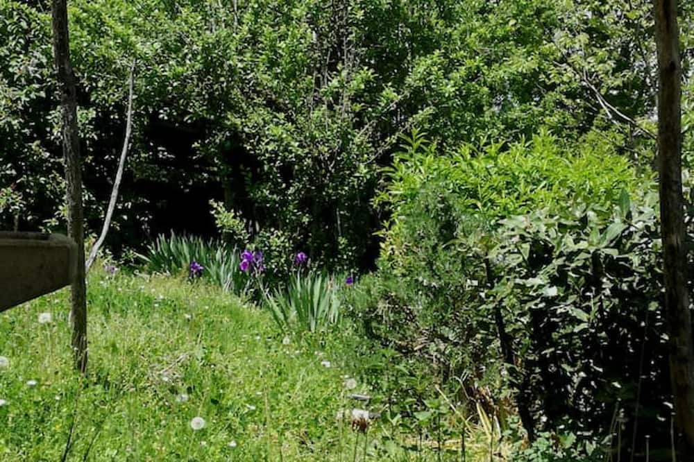 Photo of Outdoor in Decollatura