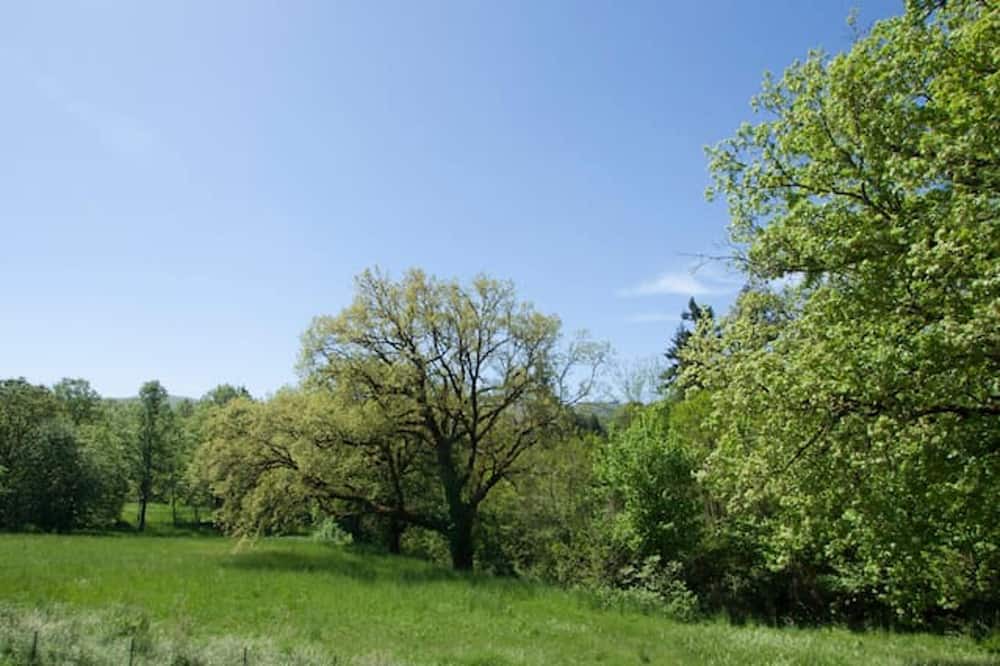 Photo of Outdoor in Decollatura