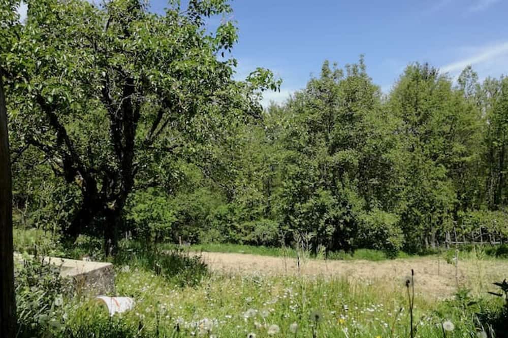 Photo of Outdoor in Decollatura