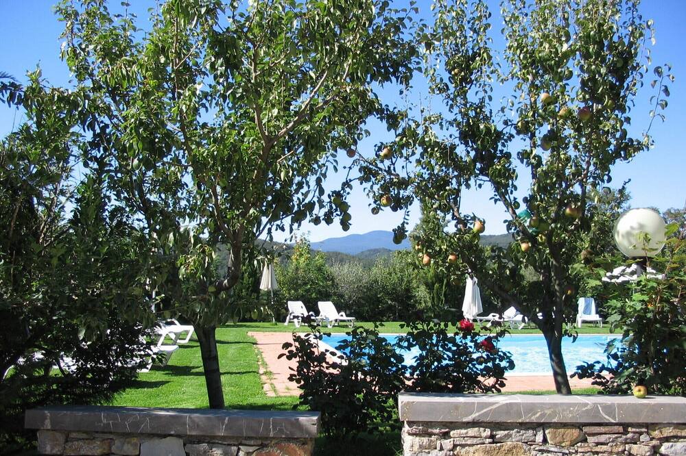 Photo of Outdoor in Castell'Azzara
