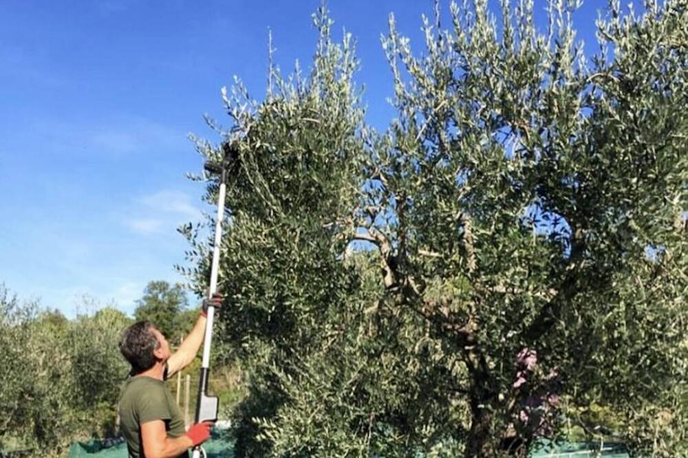 Photo of Outdoor in Montecampano