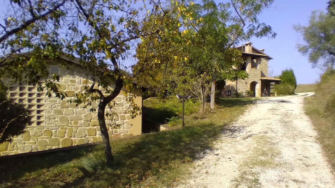 Photo of Others in Lidarno