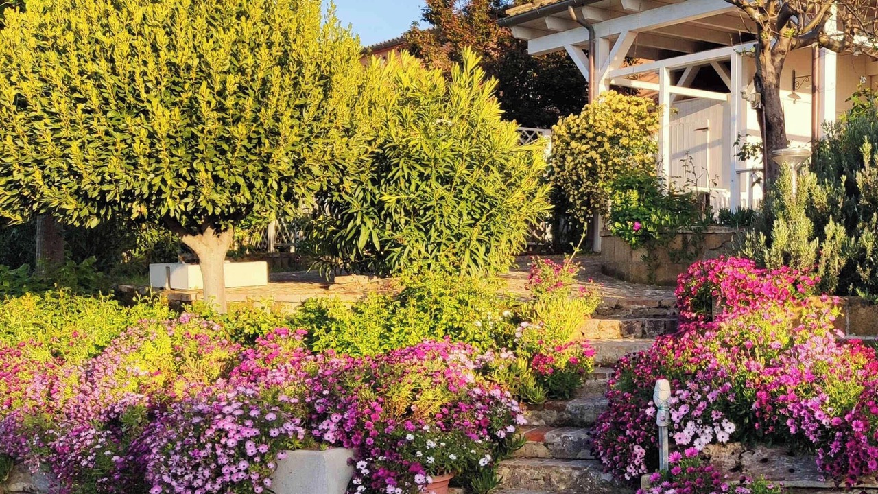 Photo of Outdoor in Potenza Picena