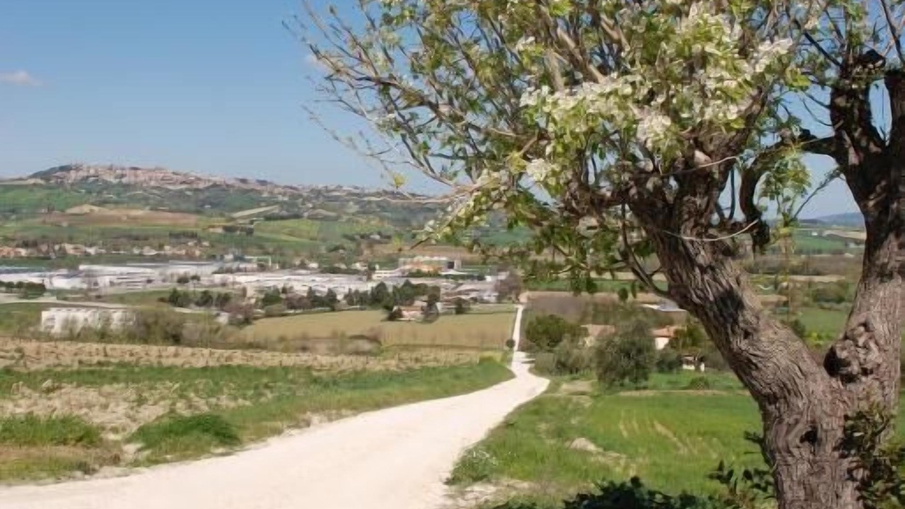 Photo of Outdoor in Potenza Picena