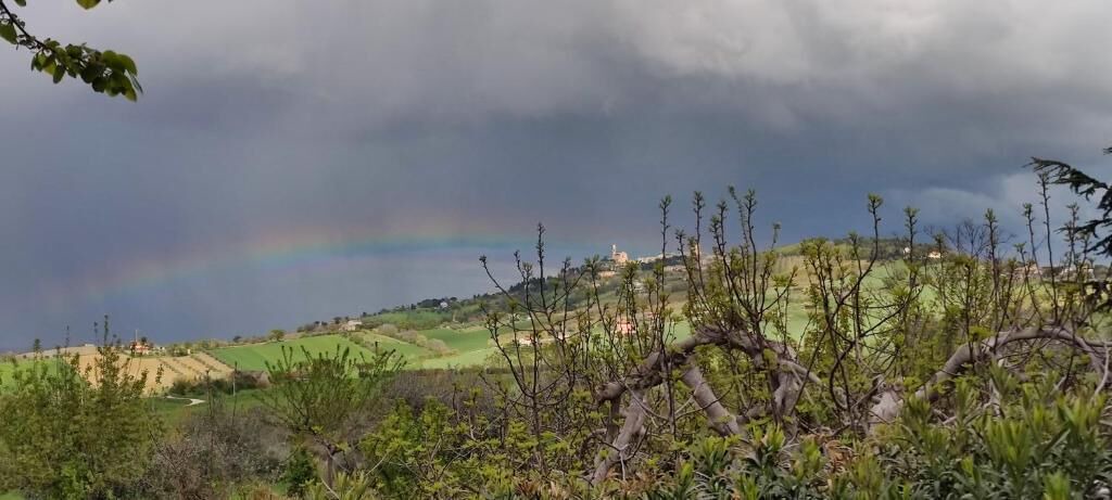 Photo of Outdoor in Potenza Picena