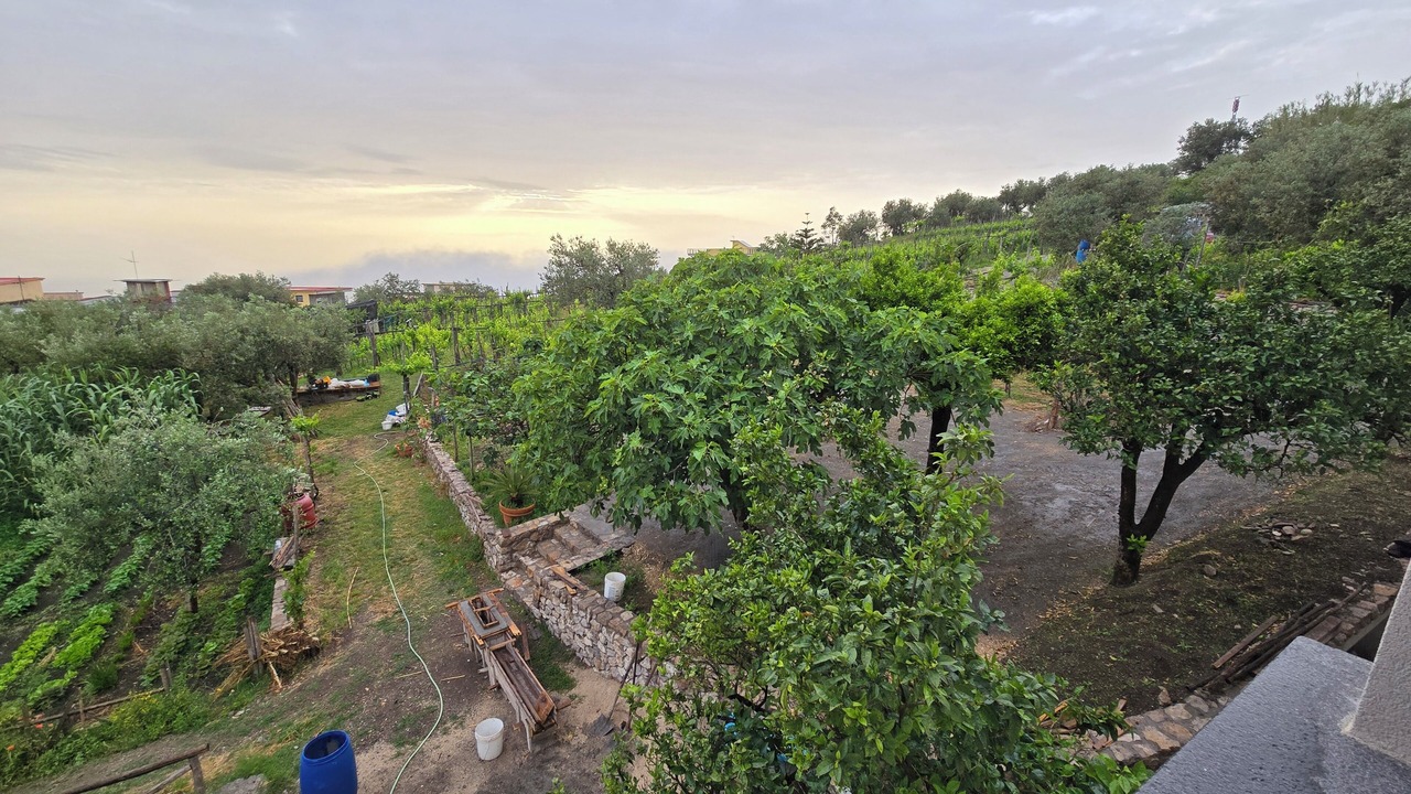 Photo of Outdoor in Piazza Roma
