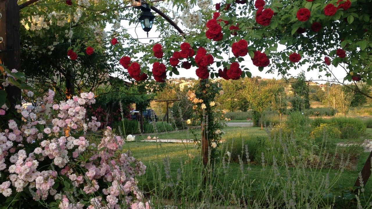 Photo of Outdoor in Piegaro