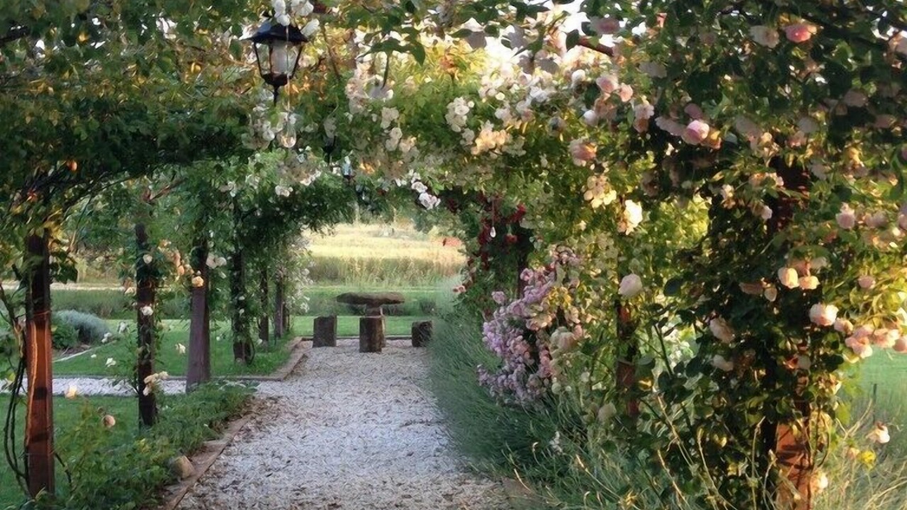 Photo of Outdoor in Piegaro