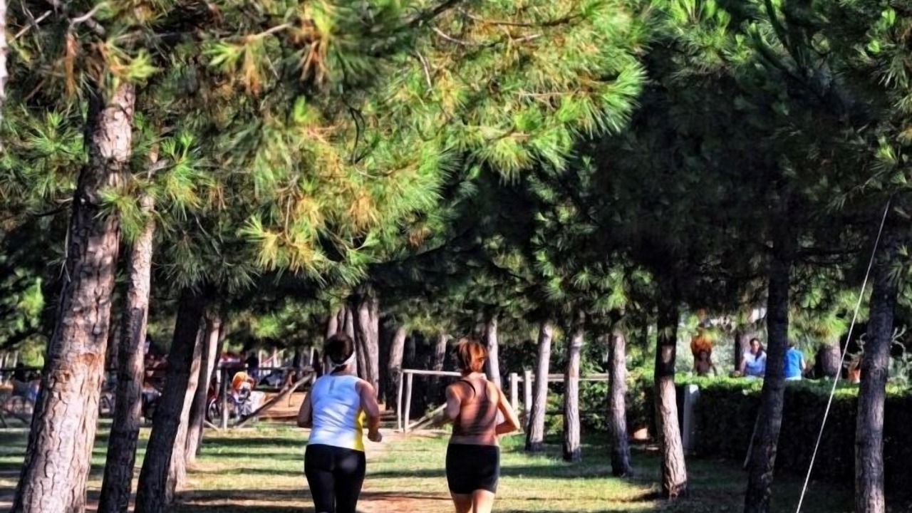 Photo of Outdoor in Pineto