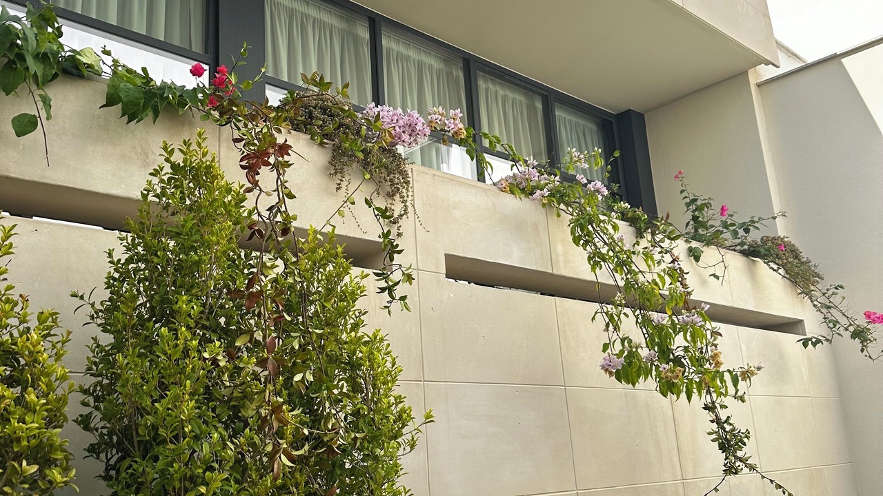 Photo of Outdoor in Andria