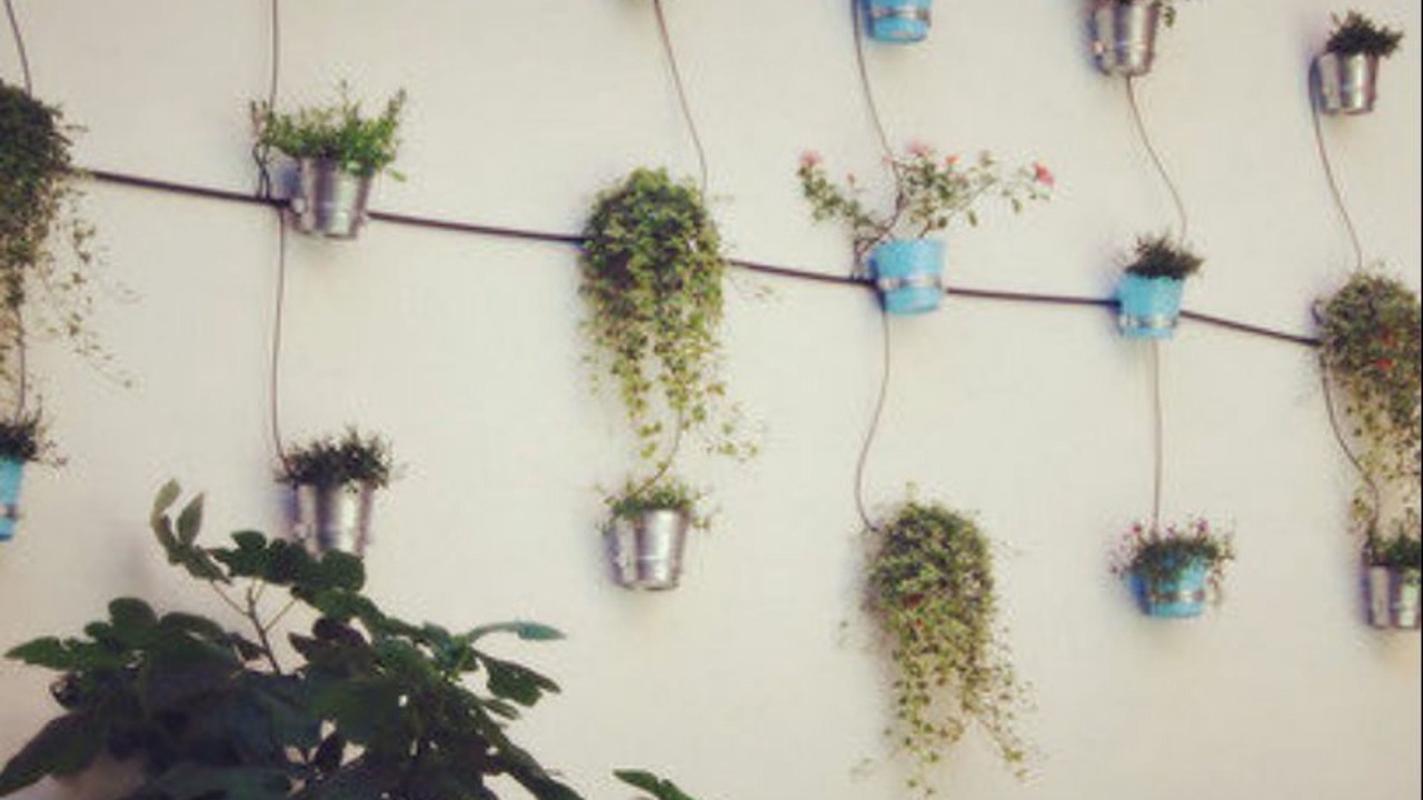 Photo of Outdoor in Lambrate