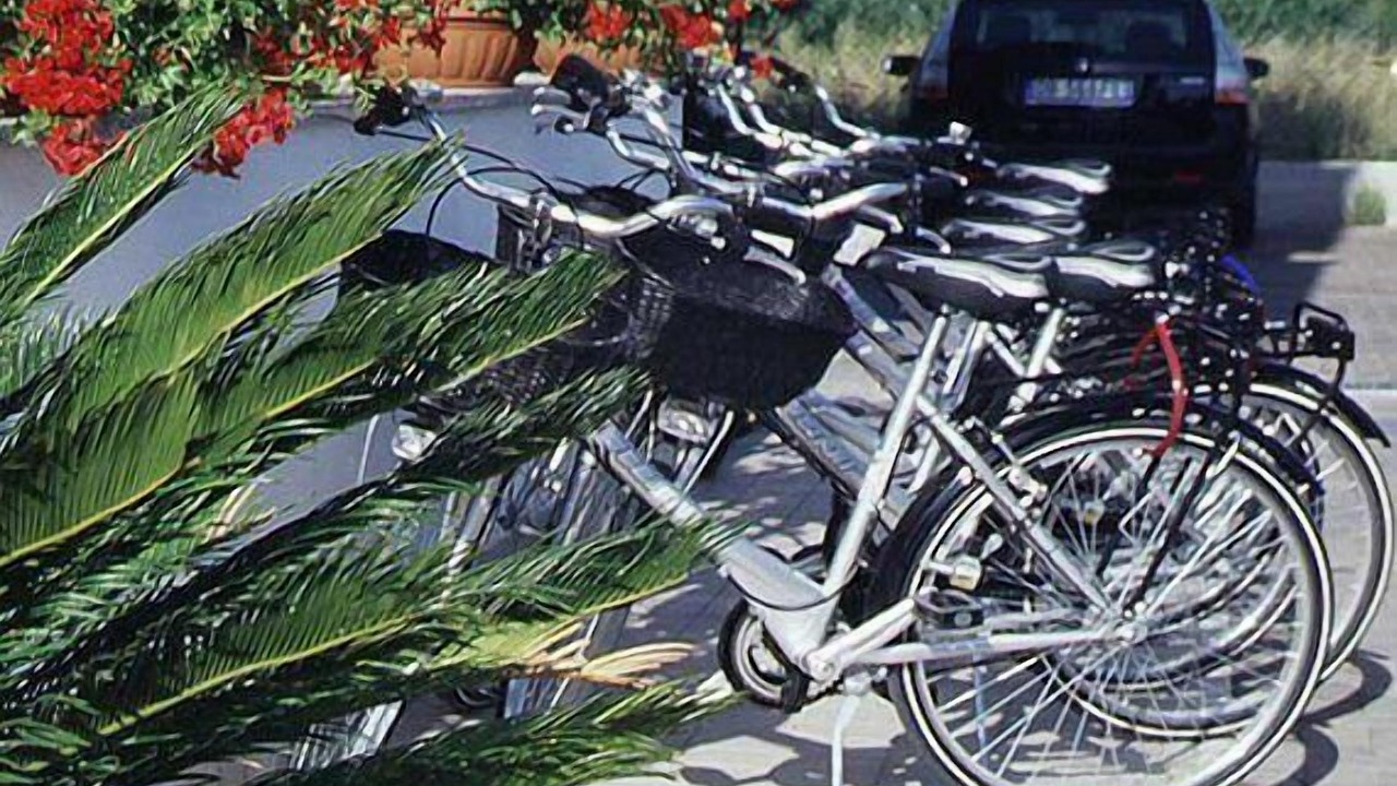 Photo of Outdoor in Villa Rosa