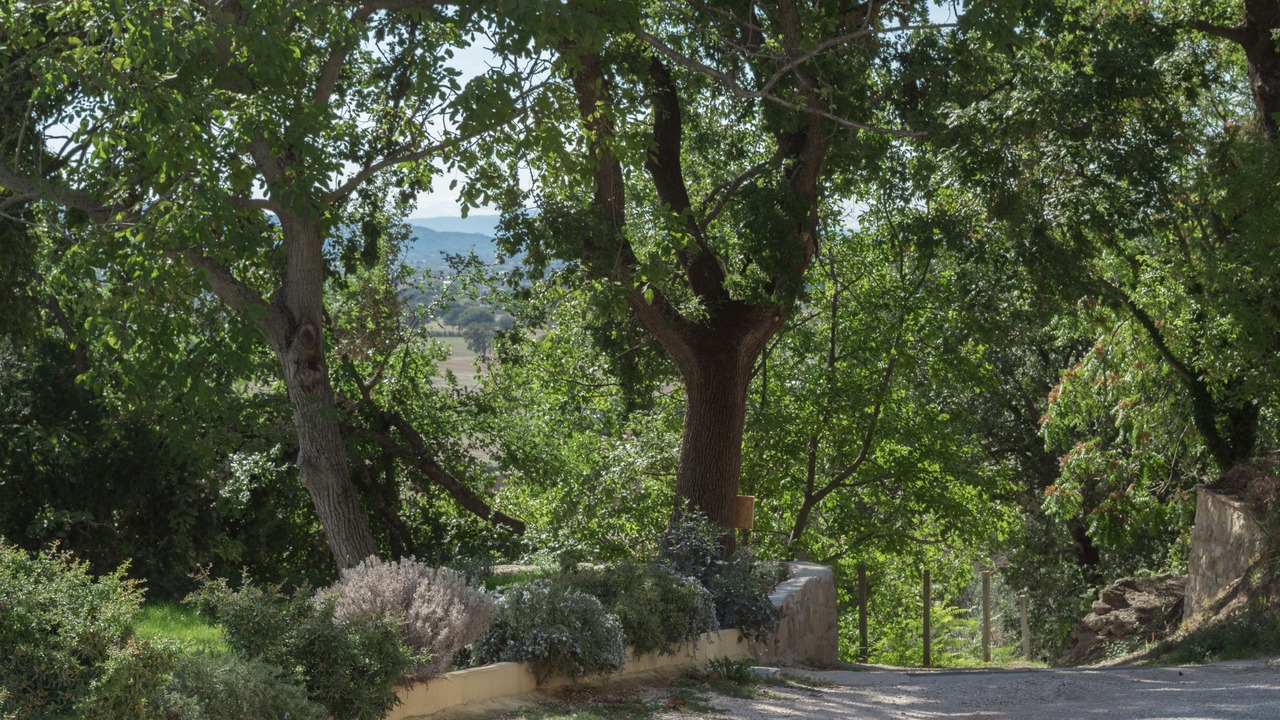 Photo of Outdoor in Assisi