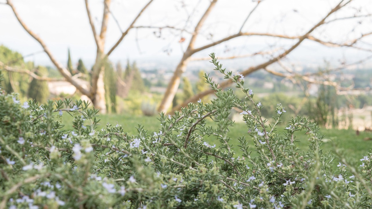 Photo of Outdoor in Assisi