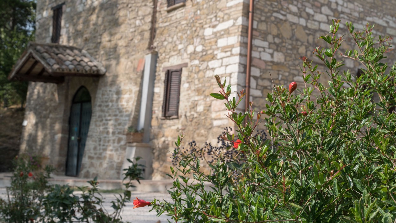 Photo of Patio Balcony in Assisi