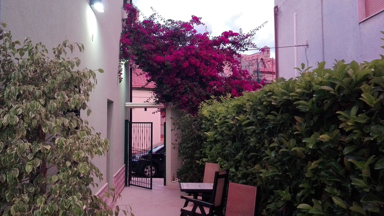 Photo of Outdoor in Campomarino