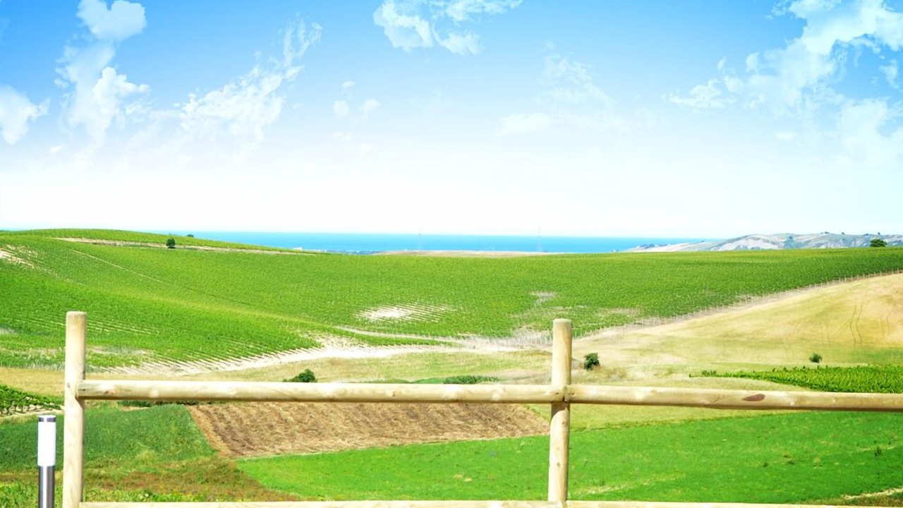 Photo of Others in San Salvo
