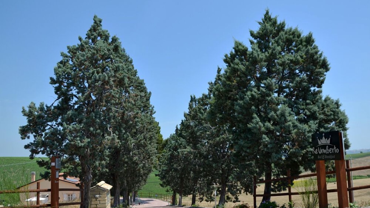 Photo of Outdoor in San Salvo