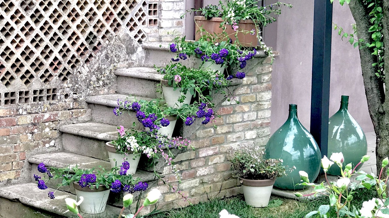 Photo of Outdoor in Lidarno