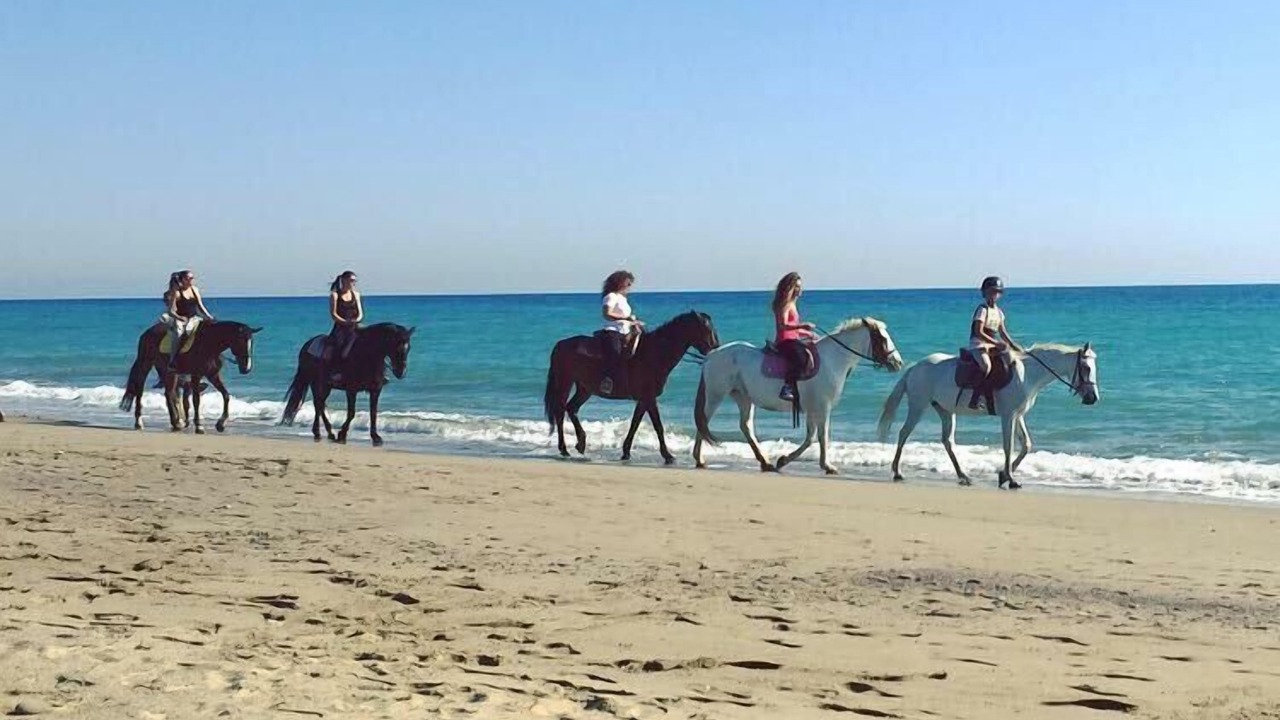 Photo of Others in Marina di Ascea