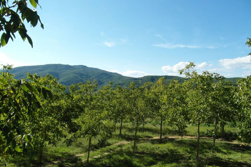 Photo of Others in Monterchi