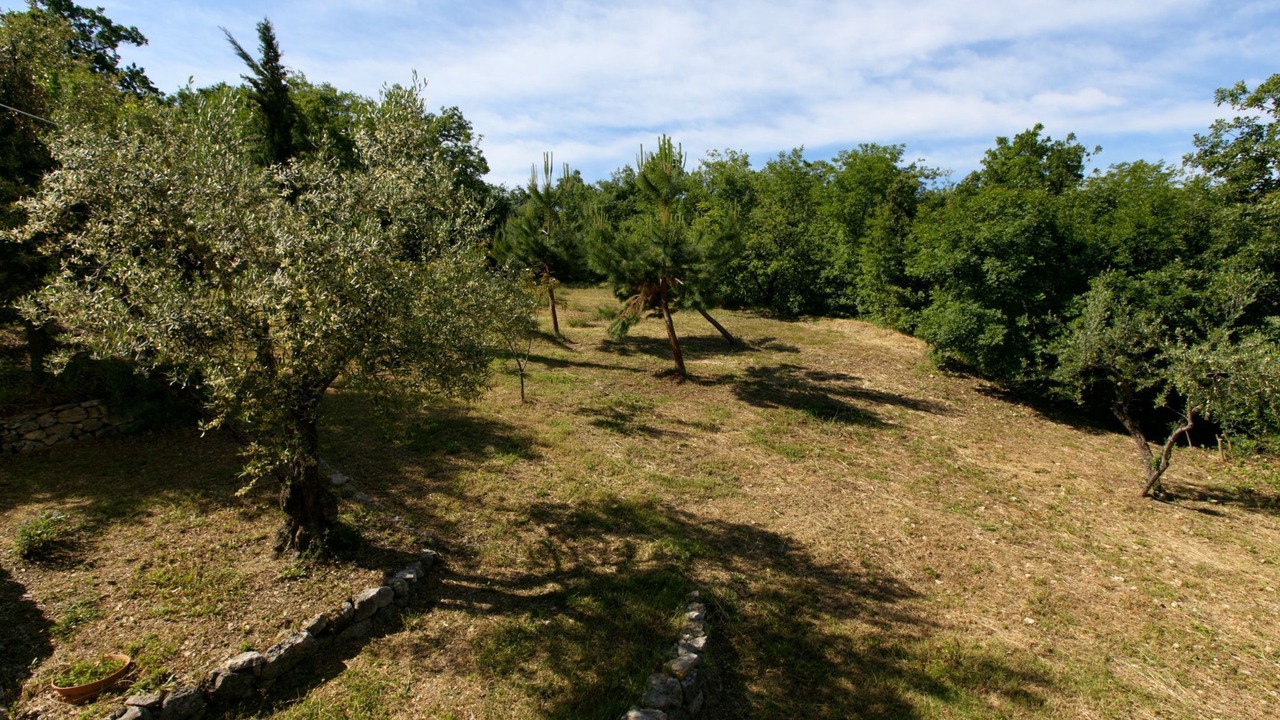Photo of Outdoor in Abbateggio