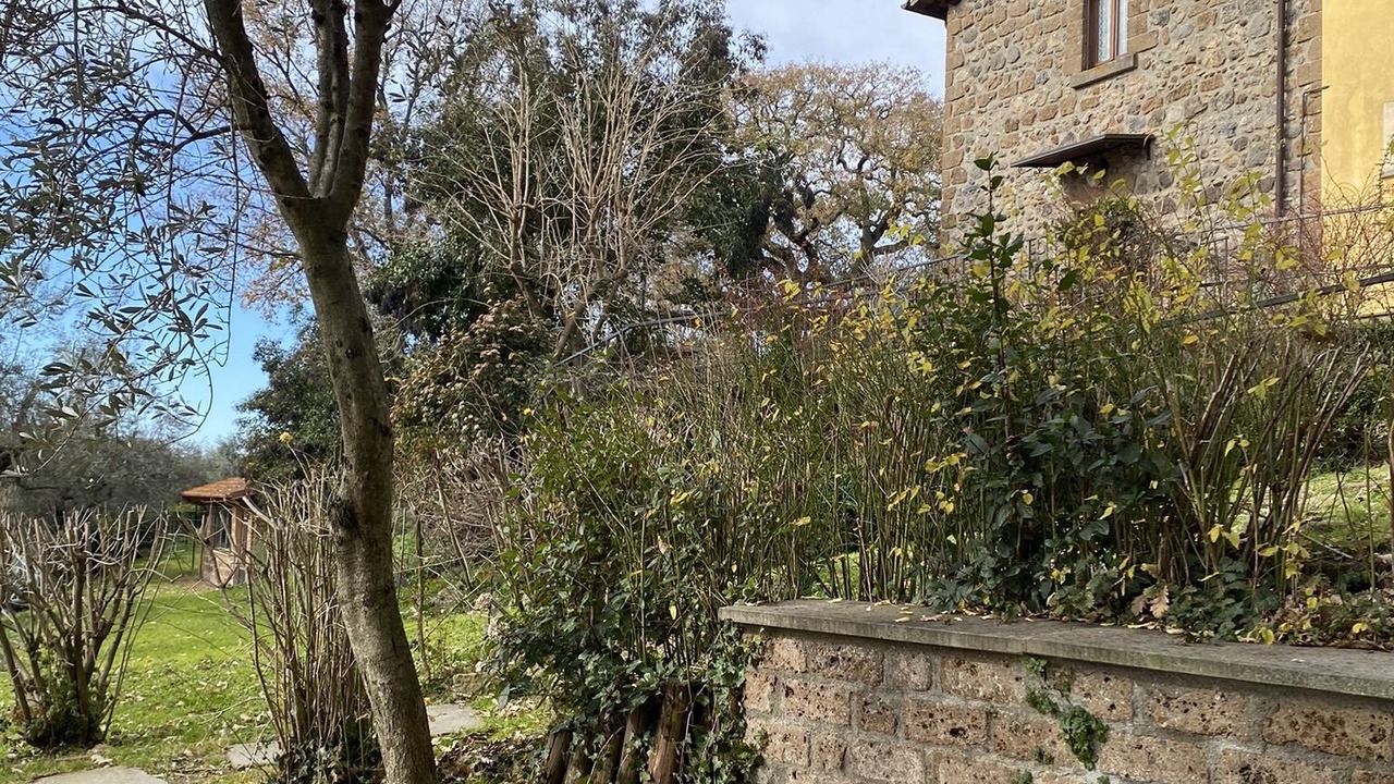 Photo of Patio Balcony in Vetralla