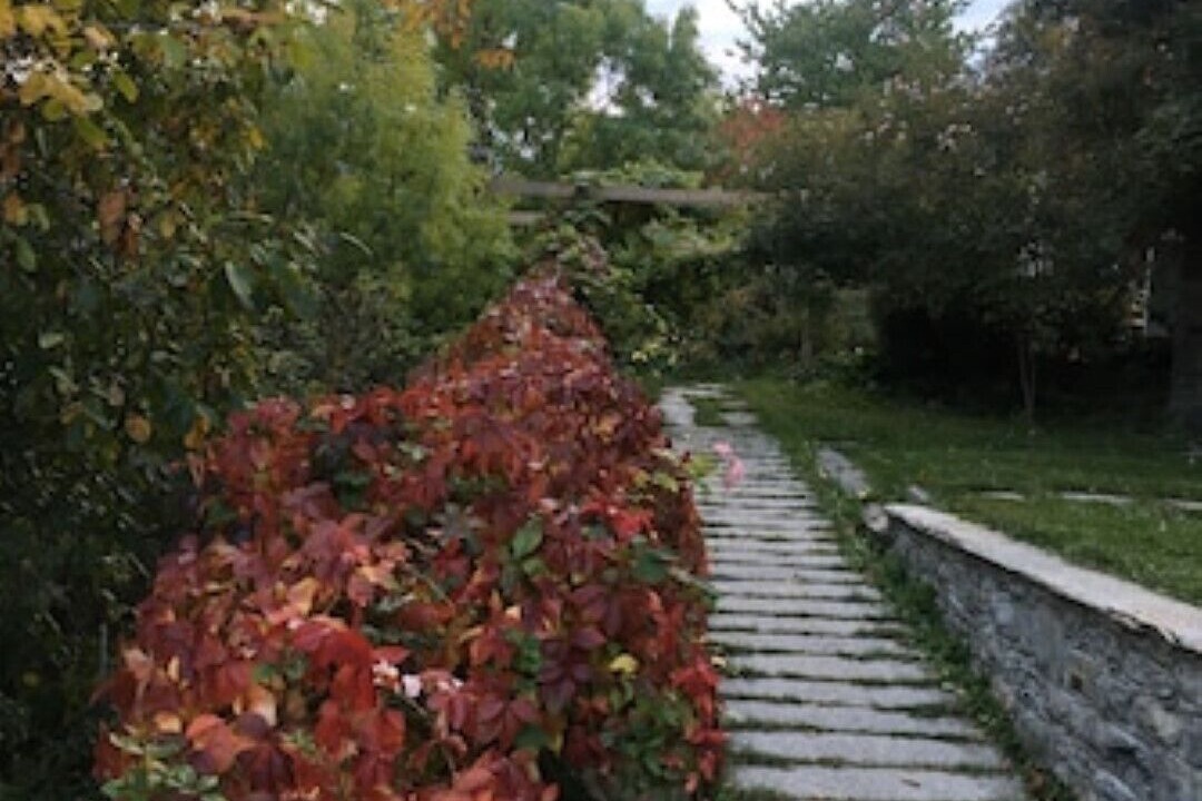 Photo of Outdoor in Aosta