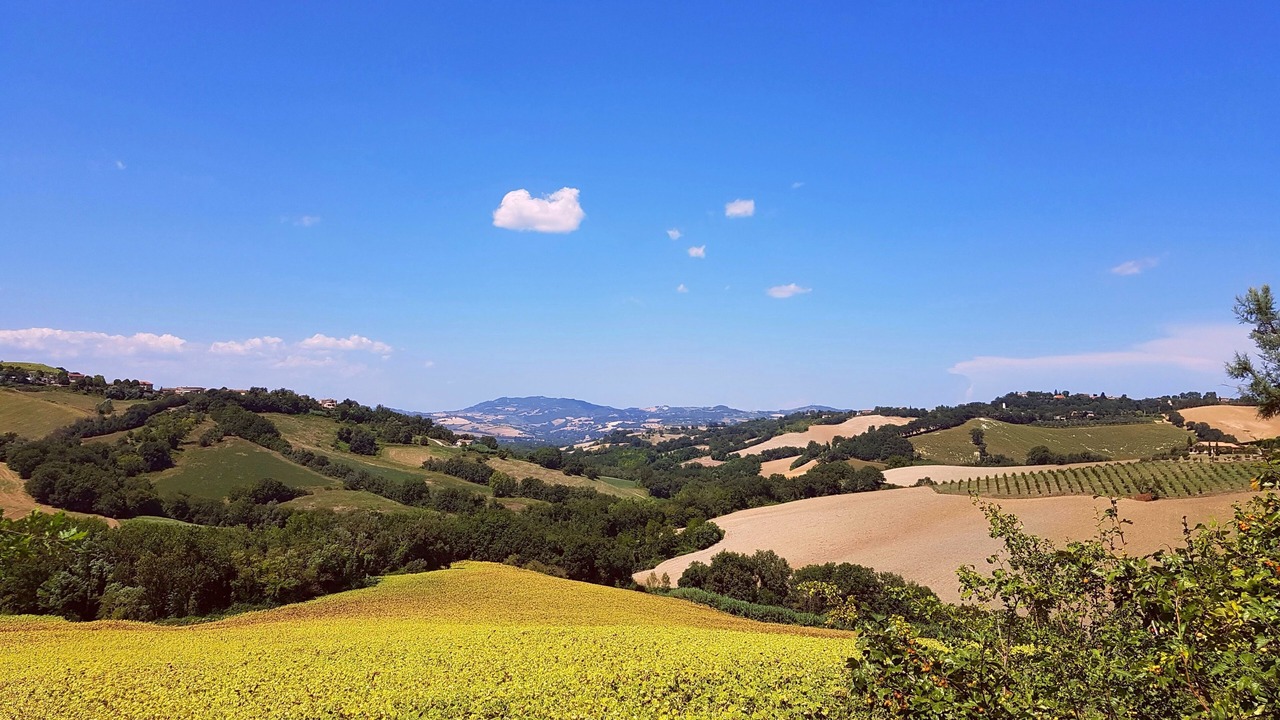 Photo of Others in Orciano di Pesaro