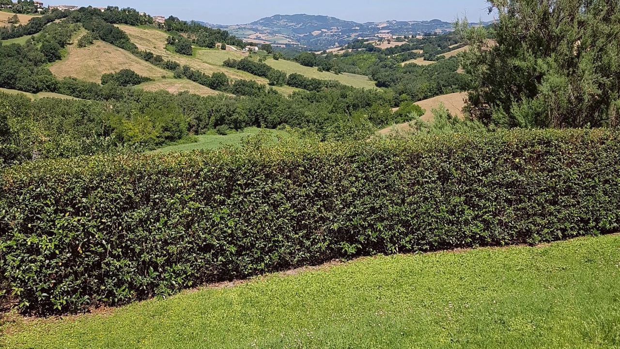 Photo of Outdoor in Orciano di Pesaro