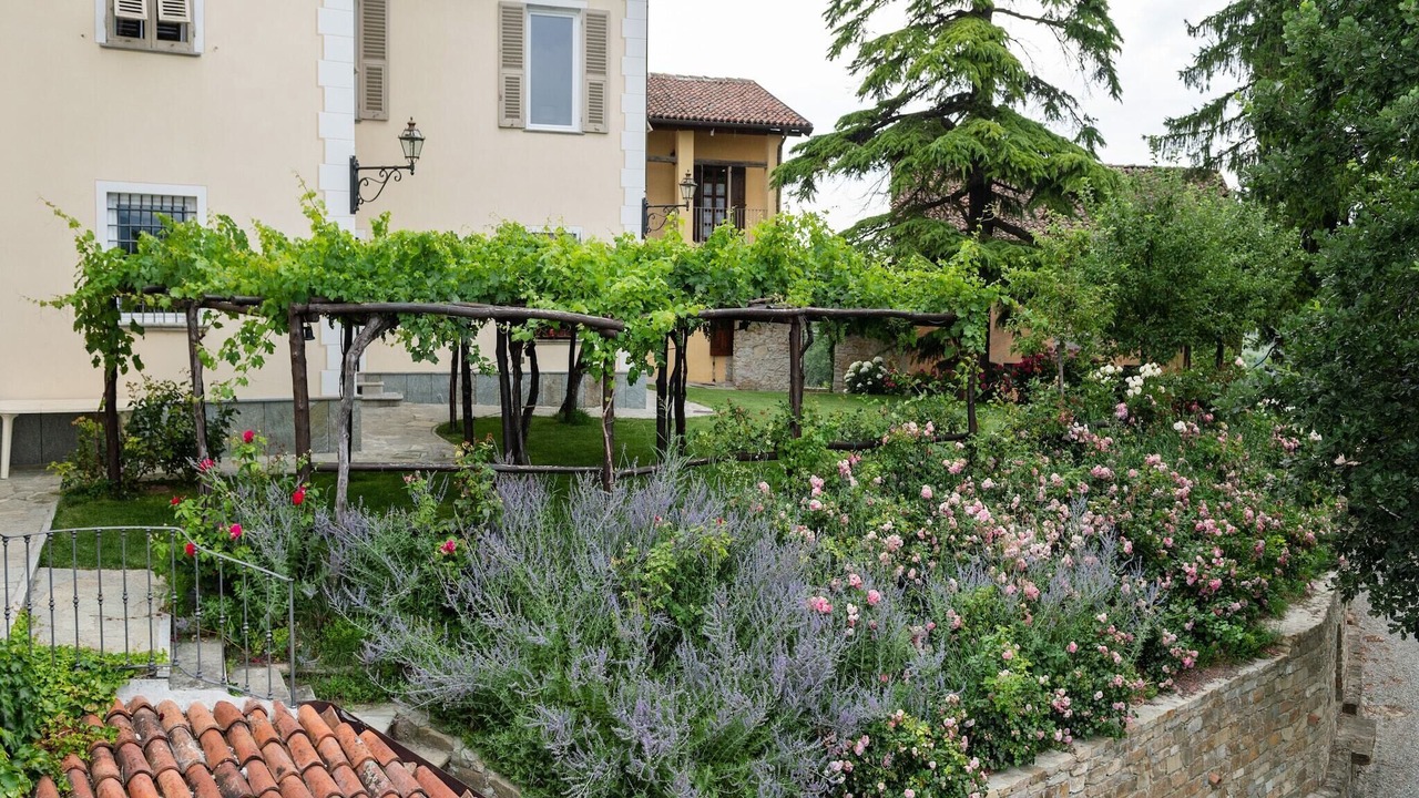 Photo of Outdoor in Ovada