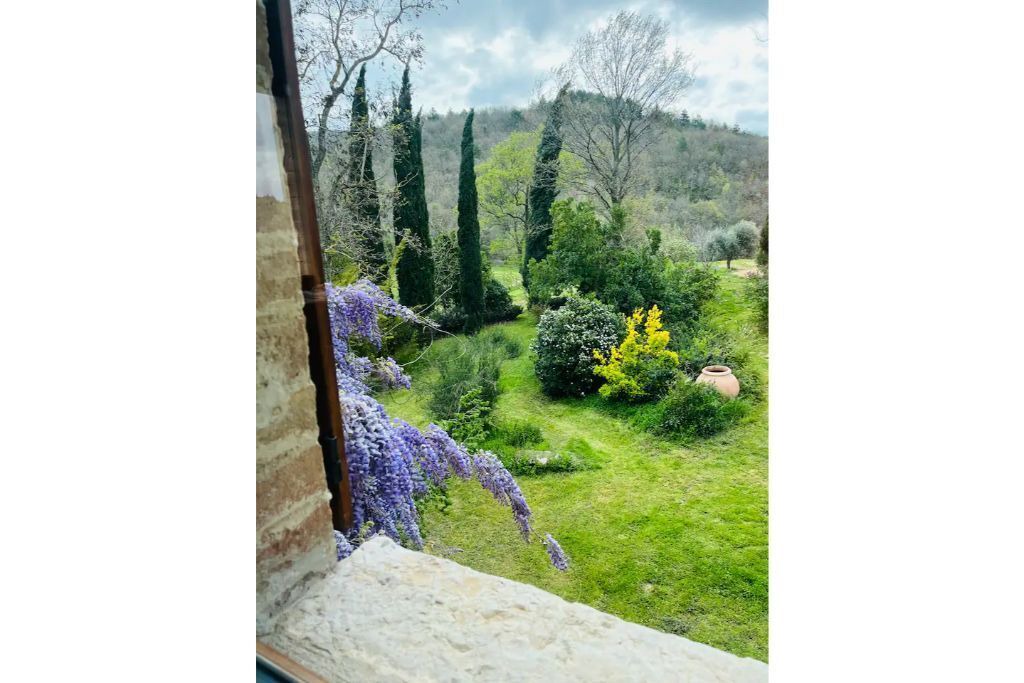 Photo of Others in Montegiove