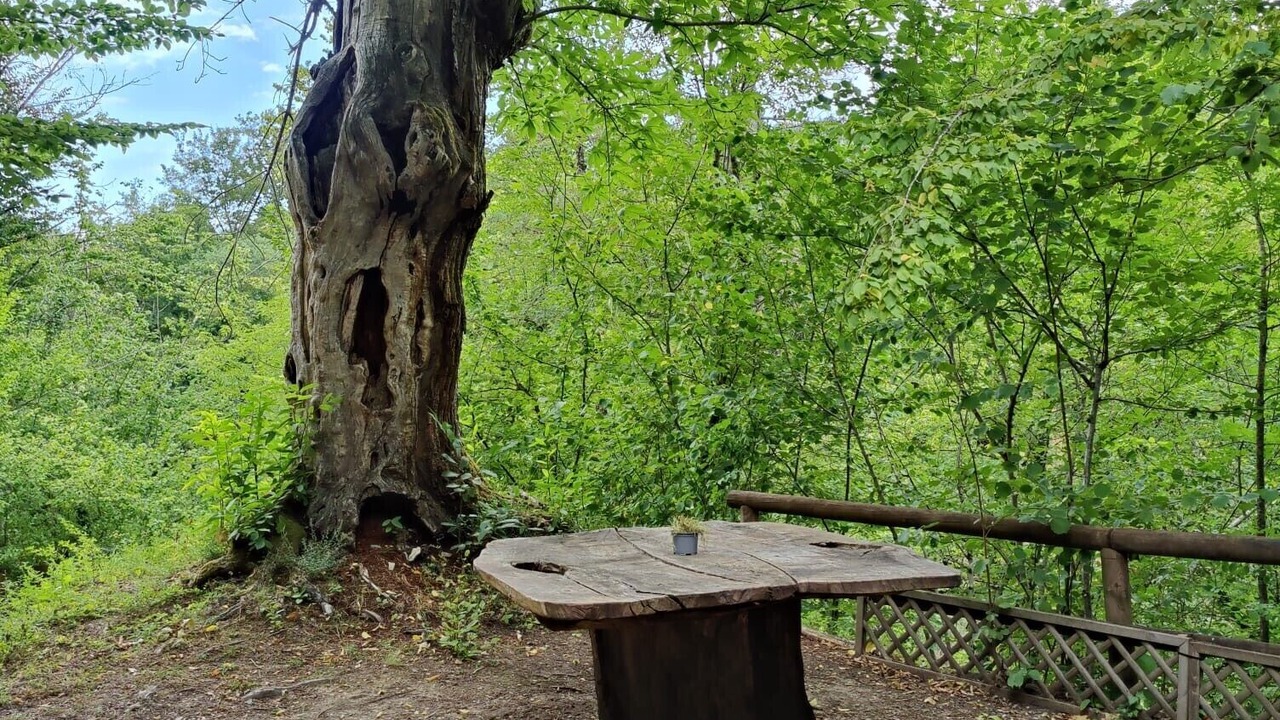 Photo of Outdoor in Palazzuolo sul Senio