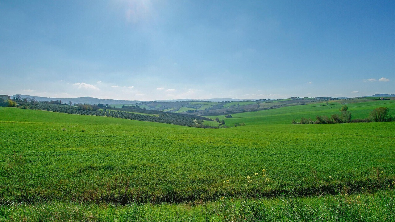 Photo of Others in Montefiore dell'Aso